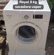 Secadora A Vapor De Carga Frontal Royal De Kg Nu En Centro Habana La