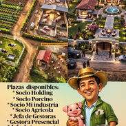 Ofertas de empleo en la lisa - Img 57433227