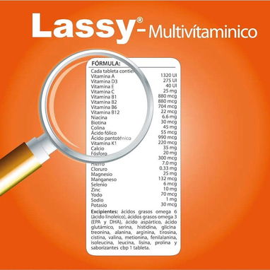 Multivitaminas Lassy para perros y gatos - Img 112252958