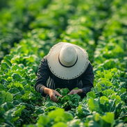 Oportunidad Laboral para Agropecuario Especializado!!! - Img 56075161