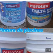 Pintura Piscina - Img 55504145