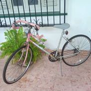 Bicicleta - Img 58295597