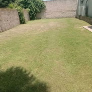 Servicios de Jardinería y Limpieza de exteriores (trabajamos en la mayoría de los municipios) - Img 55600157