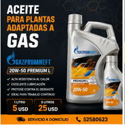 Venta de Aceite para Plantas Adaptadas a GAS - Img 56360850