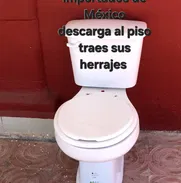 Taza tanque con sus herrajes y tapas sanitaria - Img 50782693