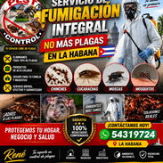 Servicio de Fumigación Integral contra todo tipo de plaga - Img 57197171