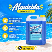 ✅️Alguicida concentrado✅️ALGUICIDA ALGANET - Img 57671985