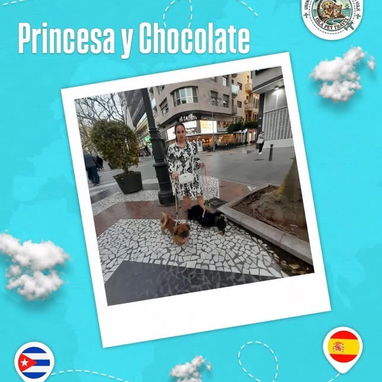 Agencia de viajes internacionales para mascotas - 10/10