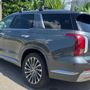 Hyundai Palisade 2024 calligraphi - Img 106076786