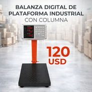 De Plataforma / Balanza Digital De Plataforma Industrial Con Columna - Img 55552939