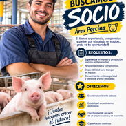 Ofertas laborales - Img 57290236