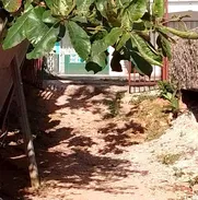 Se vende casa céntrica en Guanajay provincia Artemisa - Img 49207376