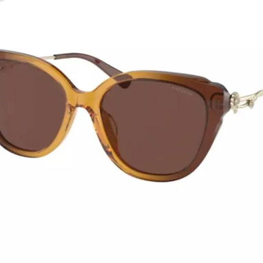 Gafas Coach Mujer - 5/9