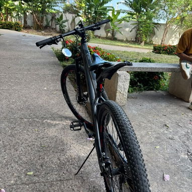 Bicicleta Rali A1 - Img 127958734