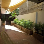 Rento apartamentos - Img 55409566