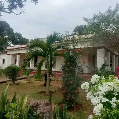 “Chalé/casa de época con más de 1.200 m² en propiedad + finca de 1,5 ha asociada”. en Artemisa - 2/3