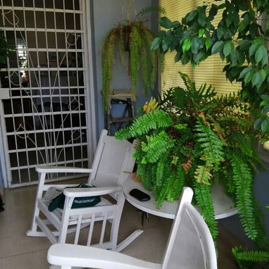 VENTA DE APARTAMENTO DEL VEDADO - Img 106430734