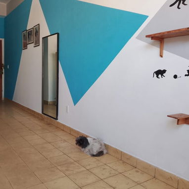 Se vende apartamento en la Habana vieja. - 2/8