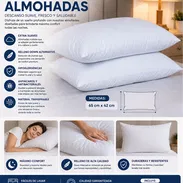 Set de 2 almohadas antialérgicas (CV) - Img 55118549