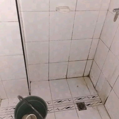 Servicio de limpieza - Img 111657233