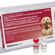 Vacuna pentavalente NOBIVAC® DAPPvL2 - Img 54388695