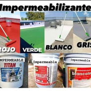 Pinturas: vinil, Impermeabilizante, barniz, antihumedad, sellador, pinturas para piscina - Img 56336108
