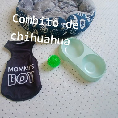 COMBITO PARA LOS PERRITOS 🐕 - 4/7