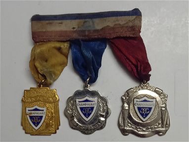 Medallas y bandera - Img 66799056
