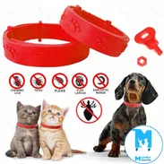 Collar antipulgas para perros y gatos pequeños y medianos - Img 52762974
