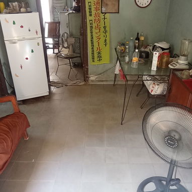 Tengo 2 apartamentos que permuto por una casa - Img 124508244