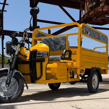 Triciclo eléctrico OIM - 4/6