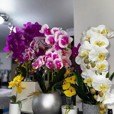 Árboles decorativo - Img 123203339