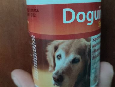 Doguvit, complejo vitamínico para perros - Img main-image