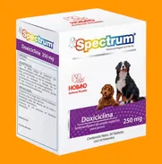 💊Doxiciclina de 250mg - Img 50940366