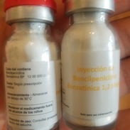 Vendo Penicilina Benzatinica - Img 55993157