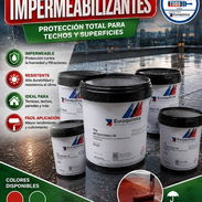 Impermeabilizante y vinil EUROQUIMICA - Img 57358497