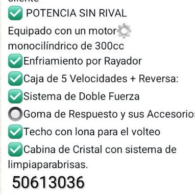 Triciclo Velga 300 cc - Img 124366143