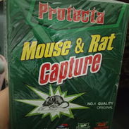 Trampas para ratas y ratones - Img 57081956