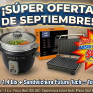 Arrocera + Sandwichera/Plancha - Img 57152768
