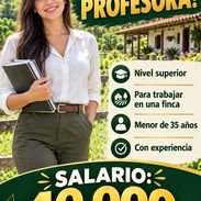 EMPLEO SOLO WHATSAPP - Img 58175790