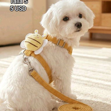 Artículos para mascotas: perros y gatos - 2/10
