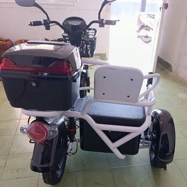 Motivo de Paseo con Minisidecar - 3/5