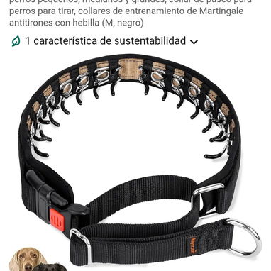 Artículos para mascotas - Img 123070090
