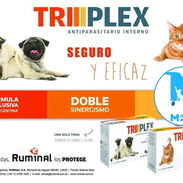 Triplex antiparasitario interno para perros y gatos - Img 55983376