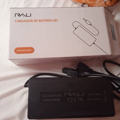 Cargador para moto electrica y triciclo - 6/10