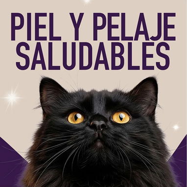 Comida húmeda para gatos - 4/7