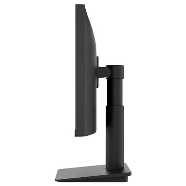 Monitor LG 25" LED FHD 100Hz (Modelo: 25MS550-B.AUS) Negro - 3/4