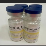 Rosefin, Meropenem , Sulfaprin , Gentamicina , Cefuroxima , Amoxicilina/Subaltam - Img 56468774