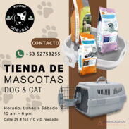 Comida para perros y gatos. Alimente a sus mascotas. Pet Shop | Anuncios-cu - Img 43533794