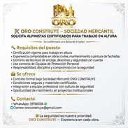 Se solicitan alpinistas para trabajo de altura en MIPYME de Construcción - Img 56192607